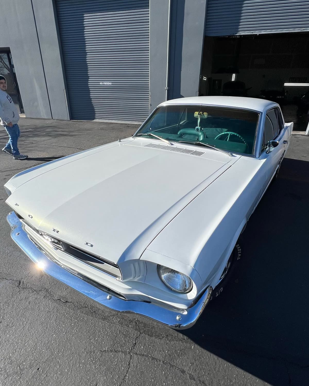 Mustang 1966.