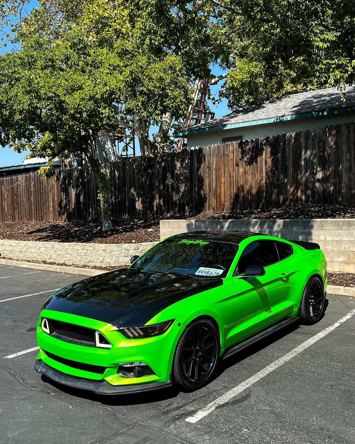 2016 Mustang 5.0