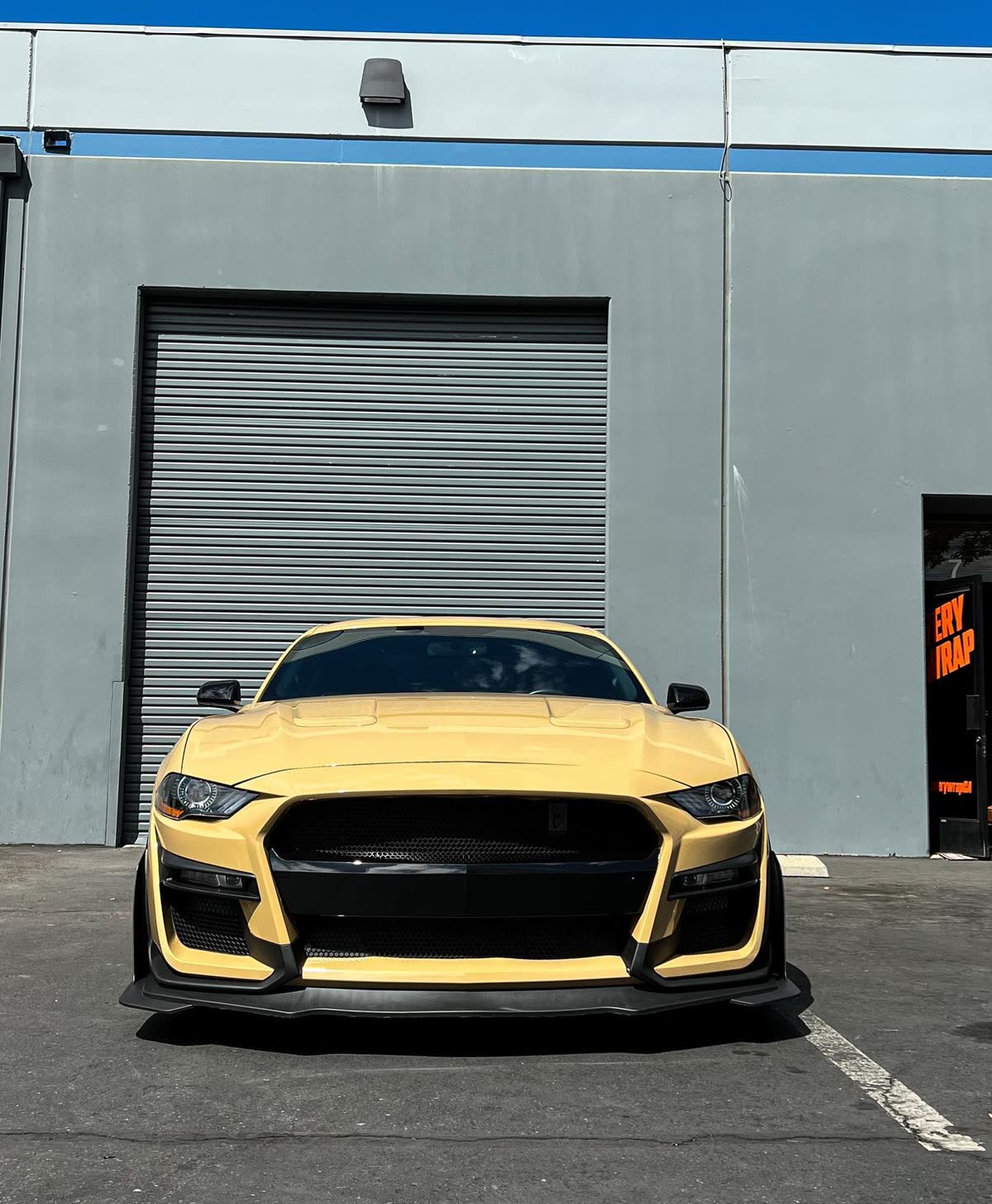 2019 Mustang 5.0.